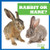 Rabbit or Hare? - 9781636903491 by Jamie Rice, 9781636903491
