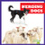 Herding Dogs - 9781645279266 by Marie Brandle, Dana Flemming, 9781645279266