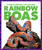 Rainbow Boas - 9781636903866 by Alicia Z. Klepeis, N/A, 9781636903866