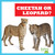 Cheetah or Leopard? - 9781636903446 by Jamie Rice, N/A, 9781636903446