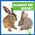 Rabbit or Hare? - 9781636903507 by Jamie Rice, 9781636903507