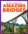 Amazing Bridges by Anita Nahta Amin, 9781636907321