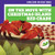 On the Move with Christmas Island Red Crabs by Rebecca Donnelly, Alan Brown, 9781636908823