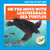 On the Move with Leatherback Sea Turtles by Rebecca Donnelly, Alan Brown, 9781636908885