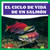 El ciclo de vida de un salmón (A Salmon's Life Cycle) (Spanish Edition) by Jamie Rice, 9798885240147