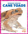 Cane Toads by Alicia Z. Klepeis, 9781636907895