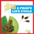 A Frog's Life Cycle - 9781636908342 by Jamie Rice, 9781636908342