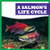 A Salmon's Life Cycle by Jamie Rice, 9781636908373