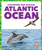 Atlantic Ocean - 9781636907727 by Avery Toolen, 9781636907727
