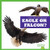 Eagle or Falcon? by Jamie Rice, 9798885241588