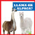 Llama or Alpaca? - 9798885241731 by Jamie Rice, 9798885241731