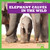 Elephant Calves in the Wild - 9798885240635 by Marie Brandle, 9798885240635