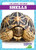 Shells - 9798885240482 by Jenna Lee Gleisner