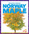Norway Maple - 9798885241144 by Alicia Z. Klepeis