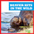 Beaver Kits in the Wild by Katie Chanez, 9798885244039