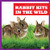 Rabbit Kits in the Wild by Katie Chanez, 9798885244091