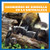 Cachorros de zorrillo en la naturaleza (Skunk Kits in the Wild) (Spanish Edition) by Katie Chanez, 9798885248501
