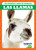 Las llamas (Llamas) (Spanish Edition) by Marie Brandle, N/A, 9798885248594 Las llamas (Llamas) (Spanish Edition) by Marie Brandle, N/A, 9798885248594