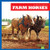 Farm Horses by Rachel Grack, 9798885244930
