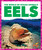 Eels - 9798885245654 by Mari Schuh, N/A, 9798885245654