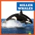 Killer Whales by Katie Chanez, 9798885245982