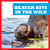 Beaver Kits in the Wild - 9798885244046 by Katie Chanez, N/A, 9798885244046