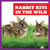 Rabbit Kits in the Wild - 9798885244107 by Katie Chanez, N/A, 9798885244107