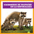 Cachorros de mapache en la naturaleza (Raccoon Cubs in the Wild) (Spanish Edition) - 9798885248488 by Katie Chanez, N/A, 9798885248488