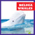 Beluga Whales - 9798885245876 by Katie Chanez, N/A, 9798885245876