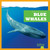Blue Whales - 9798885245906 by Eliza Leahy, N/A, 9798885245906