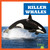Killer Whales - 9798885245999 by Katie Chanez, N/A, 9798885245999