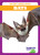 Bats - 9798885246521 by Natalie Deniston, 9798885246521