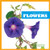 Flowers - 9798889966777 by Jenna Lee Gleisner