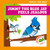 Jimmy the Blue Jay Feels Jealous by Megan Atwood, Carissa Harris, 9798889969631