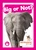 Big or Not? by William Anthony, 9798889967620