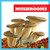 Mushrooms - 9798889966814 by Jenna Lee Gleisner, 9798889966814