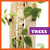 Trees - 9798889966845 by Jenna Lee Gleisner, 9798889966845