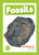 Fossils - 9798889969464 by Kirsty Holmes, 9798889969464