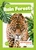 Rain Forests - 9798889969556 by Mike Clark, 9798889969556