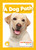 A Dog Path - 9798889968023 by Charis Mather, 9798889968023