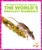 The World's Smallest Mammals by Becca Becker, 9798892131971