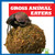Gross Animal Eaters by Katie Chanez, 9798892130592