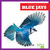 Blue Jays - 9798892131049 by Rachel Grack, 9798892131049