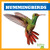 Hummingbirds - 9798892131100 by Rachel Grack, 9798892131100