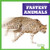Fastest Animals by Lily Austen, 9798892131285