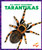 Tarantulas - 9798892136211 by Becca Becker, 9798892136211