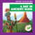 A Day in Ancient Maya by Janie Havemeyer, Cesar Samaniego, 9798892134835
