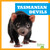 Tasmanian Devils - 9798892135283 by Natalie Deniston, 9798892135283