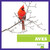 Aves (Birds) (Spanish Edition) - 9798892137249 by Jenna Lee Gleisner, 9798892137249