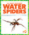 Water Spiders - 9798892136280 by Becca Becker, 9798892136280